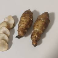 Топінамбур